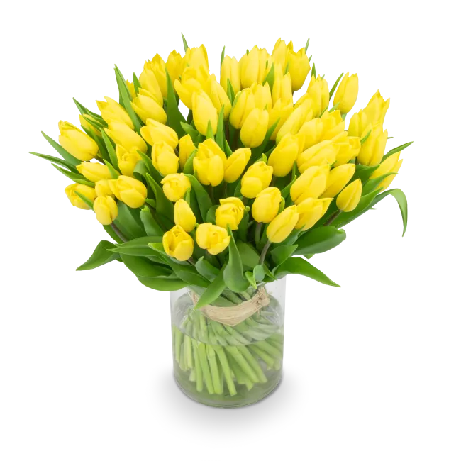 Kytice tulipánů
